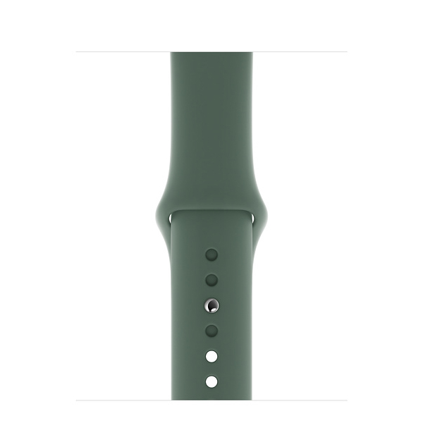 آلبوم ساعت اپل سری 5 سلولار بدنه استیل مشکی و بند اسپرت سبز 44 میلیمتر، آلبوم Apple Watch Series 5 Cellular Space Black Stainless Steel Case with Pine Green Sport Band 44 mm