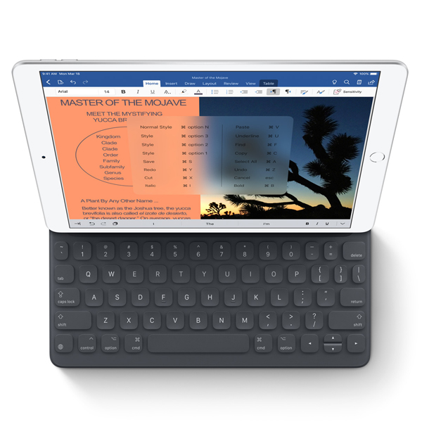گالری آیپد ایر 3 وای فای iPad Air 3 WiFi 256GB Space Gray، گالری آیپد ایر 3 وای فای 256 گیگابایت خاکستری