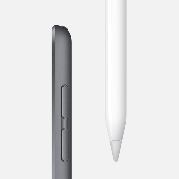 گالری آیپد مینی 5 وای فای 64 گیگابایت خاکستری، گالری iPad mini 5 WiFi 64GB Space Gray