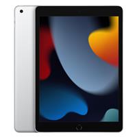 iPad 9 Cellular 256GB Silver، آیپد 9 سلولار 256 گیگابایت نقره ای