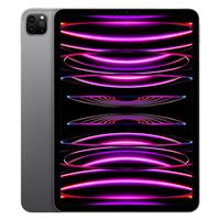 iPad Pro 11 inch M2 Cellular 1TB Space Gray 2022، آیپد پرو 11 اینچ M2 سلولار 1 ترابایت خاکستری 2022