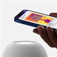 اسپیکر Speaker Apple HomePod mini Space Gray ﴿ اسپیکر اپل هوم پاد مینی خاکستری ﴾